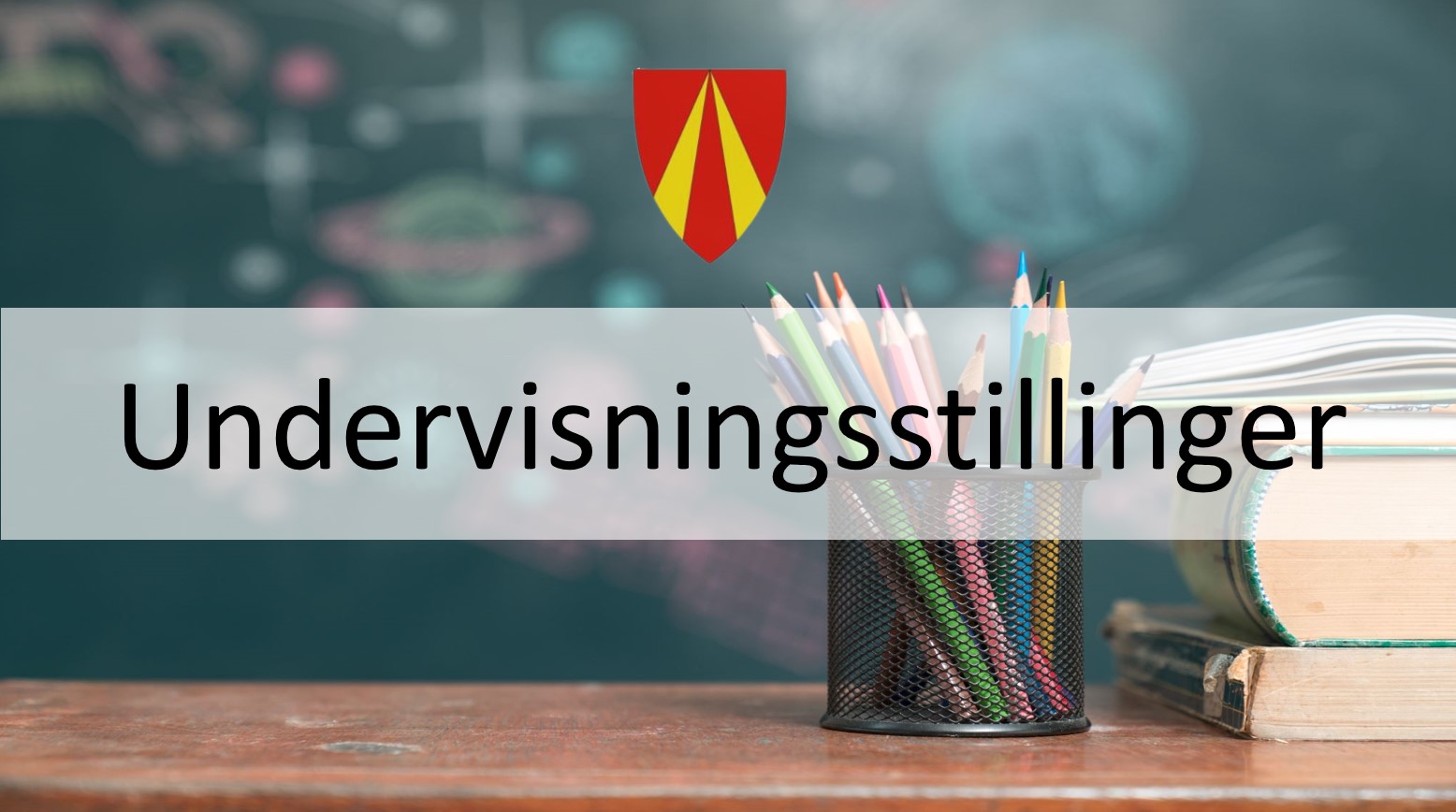 Ledige Undervisningsstillinger Ved Veggli Skole 2023-2024 - Rollag Kommune