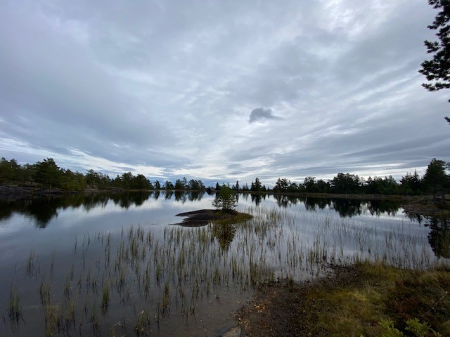 Påminnelse Om Søknadsfrist For Midler Til Opphjelp Av Fiske, Vilt Og ...